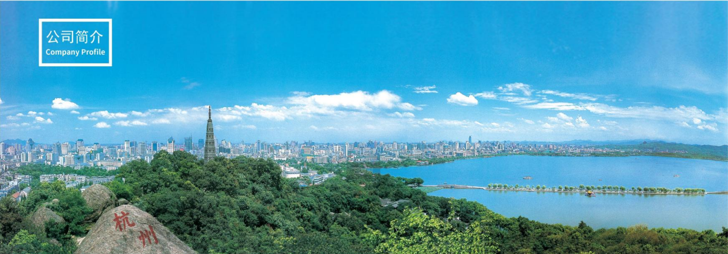 公司简介